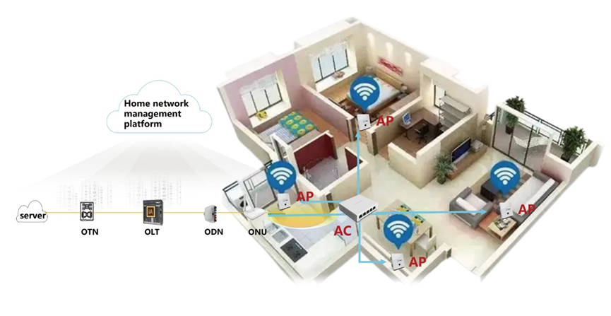 Network Hizmetleri